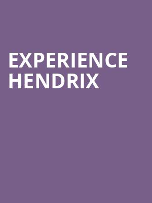 Experience Hendrix Poster