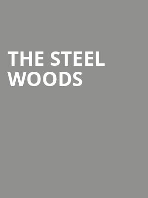 The Steel Woods, Felton Music Hall, San Jose
