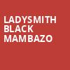 Ladysmith Black Mambazo, Bing Concert Hall, San Jose